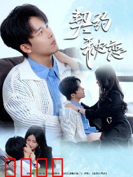 契约秘恋