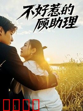 不好惹的顾助理